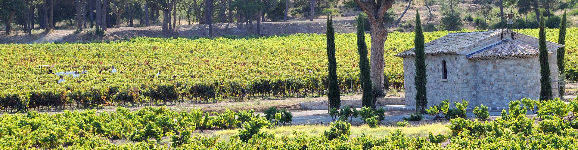 Création du site Internet du Conseil Interprofessionel des Vins de Provence