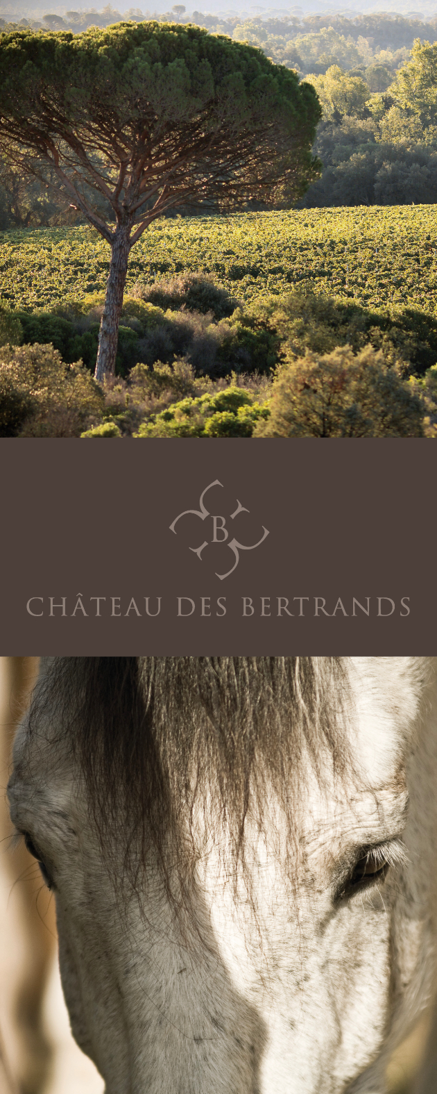 identité-chateau-bertrands